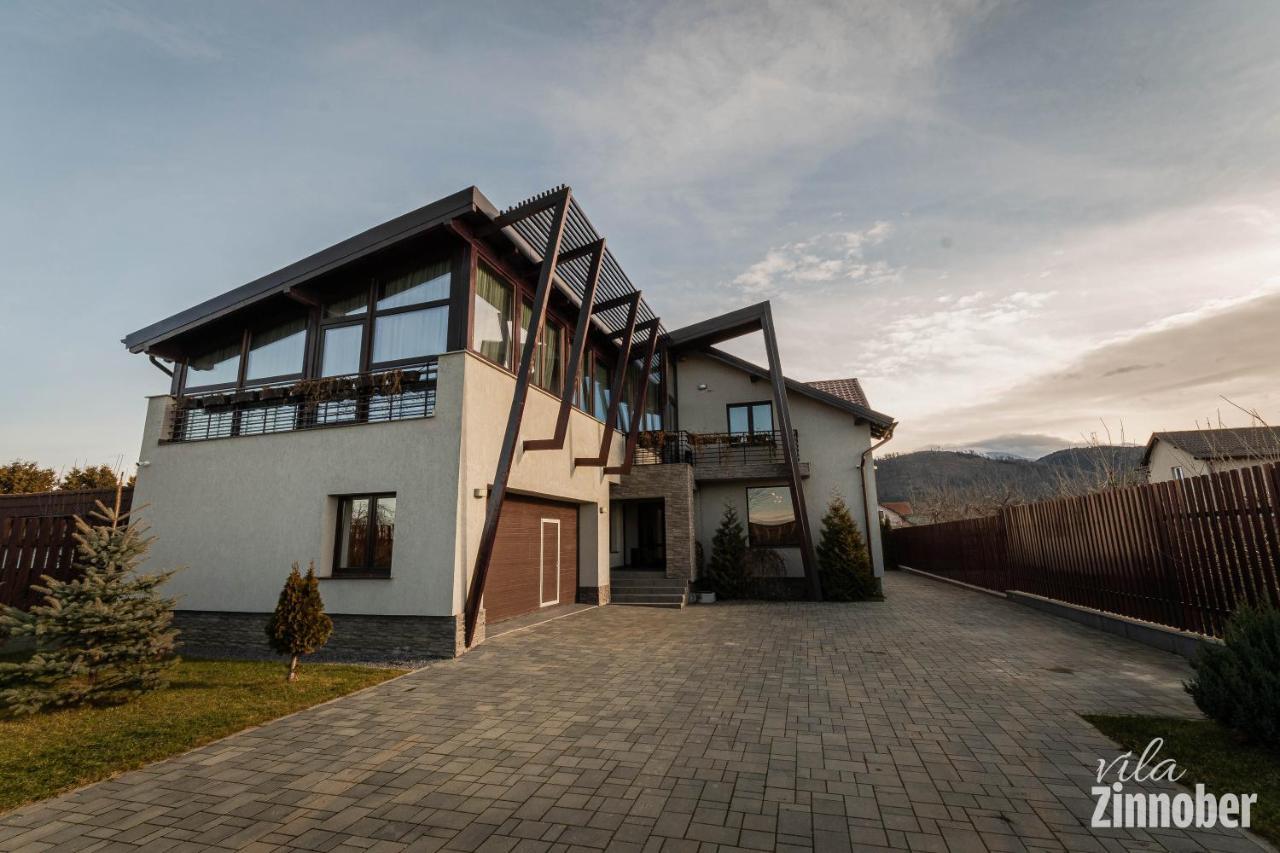 Vila Zinnober Braşov Exterior foto